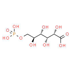 ChemSpider 2D Image | 6-O-Phosphono-L-gluconic acid | C6H13O10P