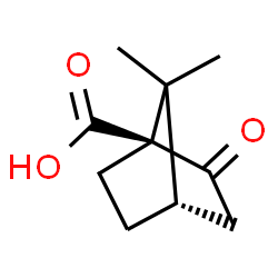 ChemSpider 2D Image | (1S,4S)-7,7-Dimethyl-2-oxobicyclo[2.2.1]heptane-1-carboxylic acid | C10H14O3