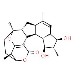 ChemSpider 2D Image | (1S,2R,4R,7R,8R,9R,10S,11R,12R,13S,18R)-8,10-Dihydroxy-1,5,9,18-tetramethyl-16,20-dioxahexacyclo[15.3.2.0~2,13~.0~4,12~.0~7,11~.0~14,19~]docosa-5,14(19)-dien-15-one | C24H32O5