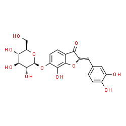 ChemSpider 2D Image | (2Z)-2-(3,4-Dihydroxybenzylidene)-7-hydroxy-3-oxo-2,3-dihydro-1-benzofuran-6-yl beta-D-glucopyranoside | C21H20O11