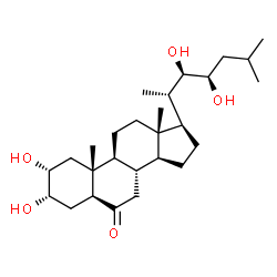 ChemSpider 2D Image | (2alpha,3alpha,5alpha,22R,23R)-2,3,22,23-Tetrahydroxycholestan-6-one | C27H46O5