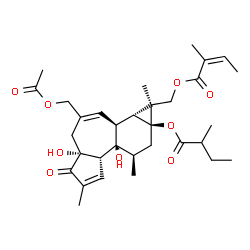 ChemSpider 2D Image | {(1S,1aR,1bS,4aR,7aS,7bR,8R,9aS)-3-(Acetoxymethyl)-4a,7b-dihydroxy-1,6,8-trimethyl-9a-[(2-methylbutanoyl)oxy]-5-oxo-1a,1b,4,4a,5,7a,7b,8,9,9a-decahydro-1H-cyclopropa[3,4]benzo[1,2-e]azulen-1-yl}methyl
 (2Z)-2-methyl-2-butenoate | C32H44O9