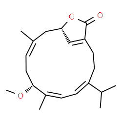 ChemSpider 2D Image | (4E,6Z,8R,10Z,13S)-4-Isopropyl-8-methoxy-7,11-dimethyl-14-oxabicyclo[11.2.1]hexadeca-1(16),4,6,10-tetraen-15-one | C21H30O3