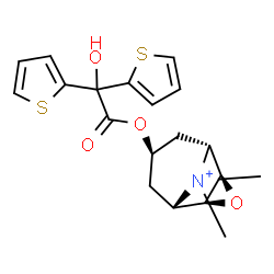 ChemSpider 2D Image | (1R,2R,4S,5S,7r)-7-[2-Hydroxy(di-2-thienyl)acetoxy]-9,9-dimethyl-3-oxa-9-azoniatricyclo[3.3.1.0~2,4~]nonane | C19H22NO4S2