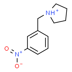 ChemSpider 2D Image | 1-(3-Nitrobenzyl)pyrrolidinium | C11H15N2O2