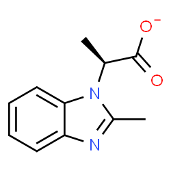 ChemSpider 2D Image | (2R)-2-(2-Methyl-1H-benzimidazol-1-yl)propanoate | C11H11N2O2