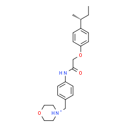 ChemSpider 2D Image | 4-{4-[({4-[(2R)-2-Butanyl]phenoxy}acetyl)amino]benzyl}morpholin-4-ium | C23H31N2O3