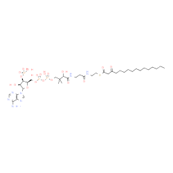 ChemSpider 2D Image | S-{1-[(2R,3R,4S)-5-(6-Amino-9H-purin-9-yl)-4-hydroxy-3-(phosphonooxy)tetrahydro-2-furanyl]-3,5,9-trihydroxy-8,8-dimethyl-3,5-dioxido-10,14-dioxo-2,4,6-trioxa-11,15-diaza-3lambda~5~,5lambda~5~-diphosph
aheptadecan-17-yl} 3-oxohexadecanethioate (non-preferred name) | C37H64N7O18P3S