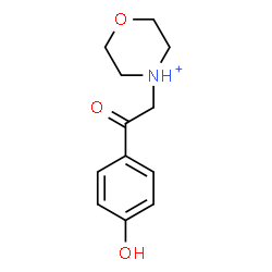 ChemSpider 2D Image | 4-[2-(4-Hydroxyphenyl)-2-oxoethyl]morpholin-4-ium | C12H16NO3