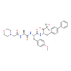 ChemSpider 2D Image | 4,5-Anhydro-1-(4-biphenylyl)-1,2-dideoxy-4-methyl-2-{[N-(4-morpholinylacetyl)-L-alanyl-O-methyl-L-tyrosyl]amino}-D-erythro-pent-3-ulose | C37H44N4O7