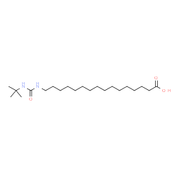 ChemSpider 2D Image | 16-{[(2-Methyl-2-propanyl)carbamoyl]amino}hexadecanoic acid | C21H42N2O3