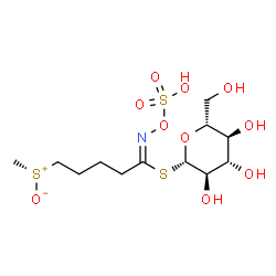 ChemSpider 2D Image | 1-S-[(1Z)-5-[Methyl(oxido)sulfonio]-N-(sulfooxy)pentanimidoyl]-1-thio-beta-D-glucopyranose | C12H23NO10S3