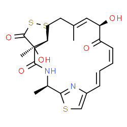 ChemSpider 2D Image | (2'R,3R,4R,9'E,11'R,13'Z,15'E)-4,11'-Dihydroxy-2',4,9'-trimethyl-4'H,5H,12'H-spiro[1,2-dithiolane-3,6'-[19]thia[3,20]diazabicyclo[15.2.1]icosa[1(20),9,13,15,17]pentaene]-4',5,12'-trione | C22H26N2O5S3