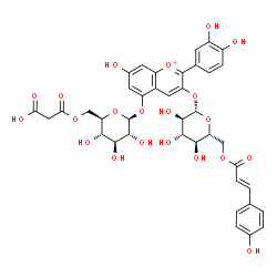 ChemSpider 2D Image | 2-(3,4-Dihydroxyphenyl)-7-hydroxy-3-({6-O-[(2E)-3-(4-hydroxyphenyl)-2-propenoyl]-beta-D-glucopyranosyl}oxy)-5-chromeniumyl 6-O-(carboxyacetyl)-beta-D-glucopyranoside | C39H39O21