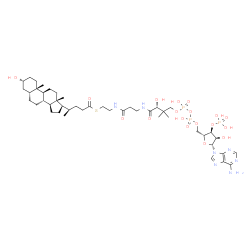 ChemSpider 2D Image | S-{(9R)-1-[(2R,3S,4R,5R)-5-(6-Amino-9H-purin-9-yl)-4-hydroxy-3-(phosphonooxy)tetrahydro-2-furanyl]-3,5,9-trihydroxy-8,8-dimethyl-3,5-dioxido-10,14-dioxo-2,4,6-trioxa-11,15-diaza-3lambda~5~,5lambda~5~-
diphosphaheptadecan-17-yl} (4R)-4-[(3R,5R,8R,9S,10S,13R,14S,17R)-3-hydroxy-10,13-dimethylhexadecahydro-1H-cyclopenta[a]phenanthren-17-yl]pentanethioate (non-preferred name) | C45H74N7O18P3S