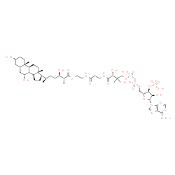 ChemSpider 2D Image | S-{(9R)-1-[(2R,3S,4R,5R)-5-(6-Amino-9H-purin-9-yl)-4-hydroxy-3-(phosphonooxy)tetrahydro-2-furanyl]-3,5,9-trihydroxy-8,8-dimethyl-3,5-dioxido-10,14-dioxo-2,4,6-trioxa-11,15-diaza-3lambda~5~,5lambda~5~-
diphosphaheptadecan-17-yl} (2R,3R,6R)-6-[(3R,5S,7R,8R,9S,10S,13R,14S,17R)-3,7-dihydroxy-10,13-dimethylhexadecahydro-1H-cyclopenta[a]phenanthren-17-yl]-3-hydroxy-2-methylheptanethioate (non-preferred n
ame) | C48H80N7O20P3S