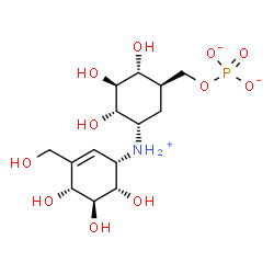 ChemSpider 2D Image | [(1R,2R,3S,4S,5S)-2,3,4-Trihydroxy-5-{[(1S,4R,5S,6S)-4,5,6-trihydroxy-3-(hydroxymethyl)-2-cyclohexen-1-yl]ammonio}cyclohexyl]methyl phosphate | C14H25NO11P
