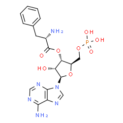 ChemSpider 2D Image | 3'-L-phenylalanyl-AMP | C19H23N6O8P