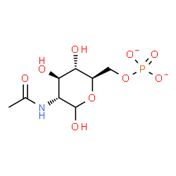 ChemSpider 2D Image | 2-Acetamido-2-deoxy-6-O-phosphonato-D-glucopyranose | C8H14NO9P