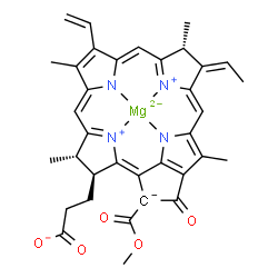 ChemSpider 2D Image | {3-[(3S,4S,13R,14Z)-14-Ethylidene-21-(methoxycarbonyl)-4,8,13,18-tetramethyl-20-oxo-9-vinyl-13,14-dihydro-3-phorbinyl-kappa~4~N~23~,N~24~,N~25~,N~26~]propanoato(4-)}magnesate(2-) | C35H32MgN4O5