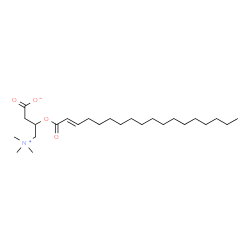 ChemSpider 2D Image | O-(2-octadecenoyl)carnitine | C25H47NO4