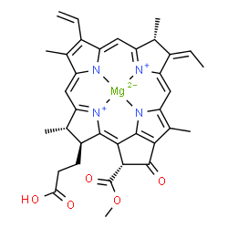 ChemSpider 2D Image | {3-[(3S,4S,13R,14Z,21R)-14-Ethylidene-21-(methoxycarbonyl)-4,8,13,18-tetramethyl-20-oxo-9-vinyl-13,14-dihydro-3-phorbinyl-kappa~4~N~23~,N~24~,N~25~,N~26~]propanoato(2-)}magnesium | C35H34MgN4O5
