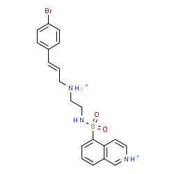 ChemSpider 2D Image | 5-[(2-{[(2E)-3-(4-Bromophenyl)-2-propen-1-yl]ammonio}ethyl)sulfamoyl]isoquinolinium | C20H22BrN3O2S