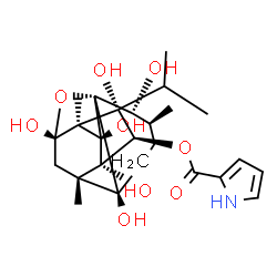 ChemSpider 2D Image | (1R,2R,3S,6S,7S,9S,10S,11S,12R,13S,14R)-2,6,9,11,13,14-Hexahydroxy-11-isopropyl-3,7,10-trimethyl-15-oxapentacyclo[7.5.1.0~1,6~.0~7,13~.0~10,14~]pentadec-12-yl 1H-pyrrole-2-carboxylate | C25H35NO9