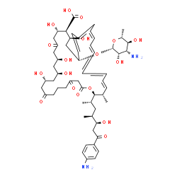 ChemSpider 2D Image | (10R,12S,14S,18S,19S,20S,22R,27E,29E,35E,37S,38R)-22-[(3-Amino-3,6-dideoxy-beta-D-mannopyranosyl)oxy]-38-[(2S,4S,5S)-7-(4-aminophenyl)-5-hydroxy-4-methyl-7-oxo-2-heptanyl]-10,12,14,18,20-pentahydroxy-
37-methyl-2,4,8,16-tetraoxooxacyclooctatriaconta-23,25,27,29,31,33,35-heptaene-19-carboxylic acid | C59H84N2O18