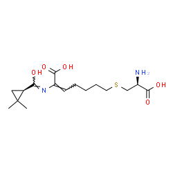 ChemSpider 2D Image | (2E)-7-{[(2S)-2-Amino-2-carboxyethyl]sulfanyl}-2-[(Z)-{[(1R)-2,2-dimethylcyclopropyl](hydroxy)methylene}amino]-2-heptenoic acid | C16H26N2O5S