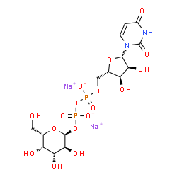ChemSpider 2D Image | disodium;[[(2S,3R,4S,5S)-5-(2,4-dioxopyrimidin-1-yl)-3,4-dihydroxy-tetrahydrofuran-2-yl]methoxy-oxido-phosphoryl] [(2S,3S,4R,5S,6S)-3,4,5-trihydroxy-6-(hydroxymethyl)tetrahydropyran-2-yl] phosphate | C15H22N2Na2O17P2