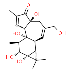 ChemSpider 2D Image | (1aR,1bS,4aS,7aS,7bR,8R,9R,9aR)-4a,7b,9,9a-Tetrahydroxy-3-(hydroxymethyl)-1,1,6,8-tetramethyl-1,1a,1b,4,4a,7a,7b,8,9,9a-decahydro-5H-cyclopropa[3,4]benzo[1,2-e]azulen-5-one | C20H28O6