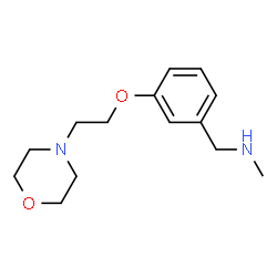 ChemSpider 2D Image | N-methyl-N-[3-(2-morpholin-4-ylethoxy)benzyl]amine | C14H22N2O2