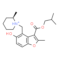 ChemSpider 2D Image | (2R)-1-{[5-Hydroxy-3-(isobutoxycarbonyl)-2-methyl-1-benzofuran-4-yl]methyl}-2-methylpiperidinium | C21H30NO4