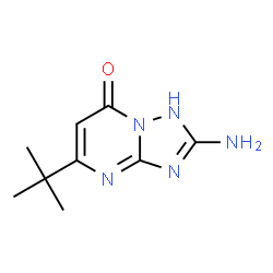 ChemSpider 2D Image | 2-Amino-5-(2-methyl-2-propanyl)[1,2,4]triazolo[1,5-a]pyrimidin-7(1H)-one | C9H13N5O