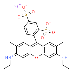 ChemSpider 2D Image | Sodium 4-[(3E)-6-(ethylamino)-3-(ethyliminio)-2,7-dimethyl-3H-xanthen-9-yl]-1,3-benzenedisulfonate | C25H25N2NaO7S2