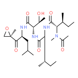 ChemSpider 2D Image | N-Acetyl-N-methyl-L-isoleucylisoleucyl-N-{(2S)-4-methyl-1-[(2R)-2-methyl-2-oxiranyl]-1-oxo-2-pentanyl}-L-allothreoninamide | C28H50N4O7