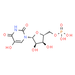 ChemSpider 2D Image | 5-Hydroxyuridine 5'-(dihydrogen phosphate) | C9H13N2O10P