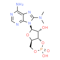 ChemSpider 2D Image | (4aR,6R,7R,7aS)-6-[6-Amino-8-(dimethylamino)-9H-purin-9-yl]tetrahydro-4H-furo[3,2-d][1,3,2]dioxaphosphinine-2,7-diol 2-oxide | C12H17N6O6P