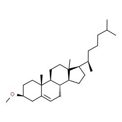 ChemSpider 2D Image | (3beta,13xi)-3-Methoxycholest-5-ene | C28H48O