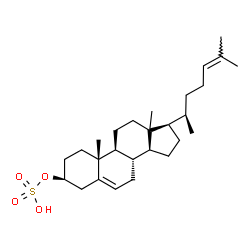ChemSpider 2D Image | (3beta,13xi)-Cholesta-5,24-dien-3-yl hydrogen sulfate | C27H44O4S