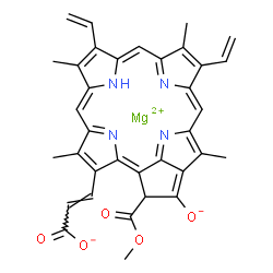 ChemSpider 2D Image | Magnesium (2E)-3-[21-(methoxycarbonyl)-4,8,13,18-tetramethyl-20-oxido-9,14-divinyl-3,4-didehydro-3--21,25-dihydrophorbinyl]acrylate | C35H28MgN4O5