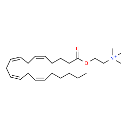 ChemSpider 2D Image | 2-[(5Z,8Z,11Z,14Z)-5,8,11,14-Icosatetraenoyloxy]-N,N,N-trimethylethanaminium | C25H44NO2