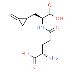 ChemSpider 2D Image | hypoglycin B | C12H18N2O5