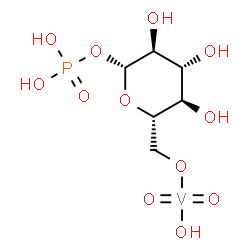 ChemSpider 2D Image | Hydroxy(dioxo)(1-O-phosphono-beta-L-glucopyranosato-kappaO~6~)vanadium | C6H13O12PV