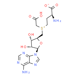 ChemSpider 2D Image | (2S)-2-Amino-4-[{[(2S,3S,4R,5R)-5-(6-amino-9H-purin-9-yl)-3,4-dihydroxytetrahydro-2-furanyl]methyl}(carboxymethyl)sulfonio]butanoate (non-preferred name) | C16H22N6O7S