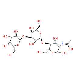 ChemSpider 2D Image | alpha-D-Galactopyranosyl-(1->3)-beta-D-galactopyranosyl-(1->4)-(2xi)-2-deoxy-2-[(Z)-(1-hydroxyethylidene)amino]-beta-D-arabino-hexopyranose | C20H35NO16