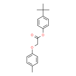ChemSpider 2D Image | 4-(2-Methyl-2-propanyl)phenyl (4-methylphenoxy)acetate | C19H22O3