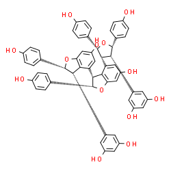 ChemSpider 2D Image | (2S,2'R,3R,3'S)-3'-(3,5-Dihydroxyphenyl)-4-[(2R,3R,4S,5S)-4-(3,5-dihydroxyphenyl)-2,5-bis(4-hydroxyphenyl)tetrahydro-3-furanyl]-2,2'-bis(4-hydroxyphenyl)-2,2',3,3'-tetrahydro-3,4'-bi-1-benzofuran-6,6'
-diol | C56H44O13