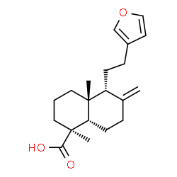 ChemSpider 2D Image | (1S,4aR,5R,8aS)-5-[2-(3-Furyl)ethyl]-1,4a-dimethyl-6-methylenedecahydro-1-naphthalenecarboxylic acid | C20H28O3